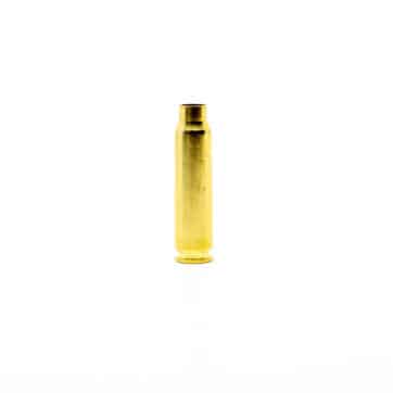 300 Savage brass